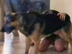 Gostosa fazendo sexo com um cachorro pastor alemão