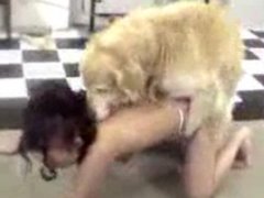 Cachorro mete no cu da mulher e fica grudado nela