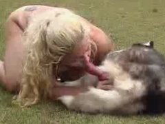 Brasileira loira chupando a pica de um cachorro husky siberiano