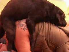 Cachorro fodendo a buceta da mamãe