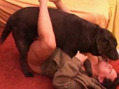 Mulher faz sexo com cachorro como se fosse homem