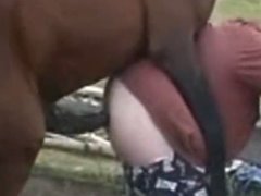 Cavalo metendo o pau na bunda de um gordinho gay