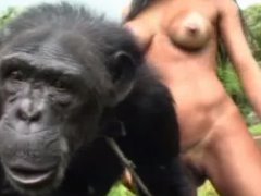Duas mulheres tentando fazer sexo com um macaco chimpanzé